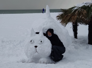 Когда снегопад раз в несколько лет