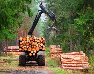Сайт деревообработки